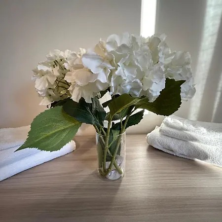 Διαμέρισμα Door48 Νοβάρα